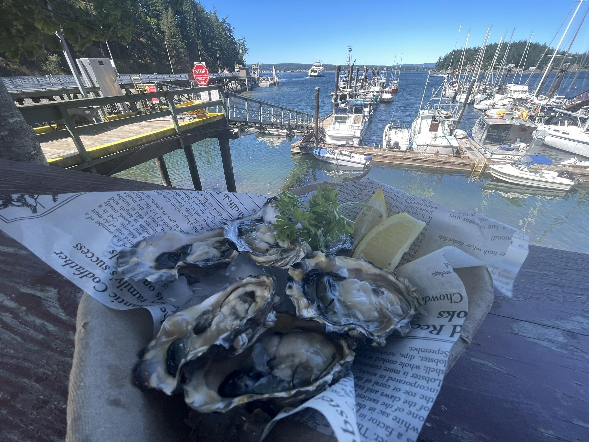 Fresh oysters at Coveside Seafood Eatery